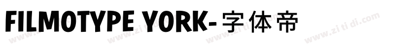FILMOTYPE YORK字体转换